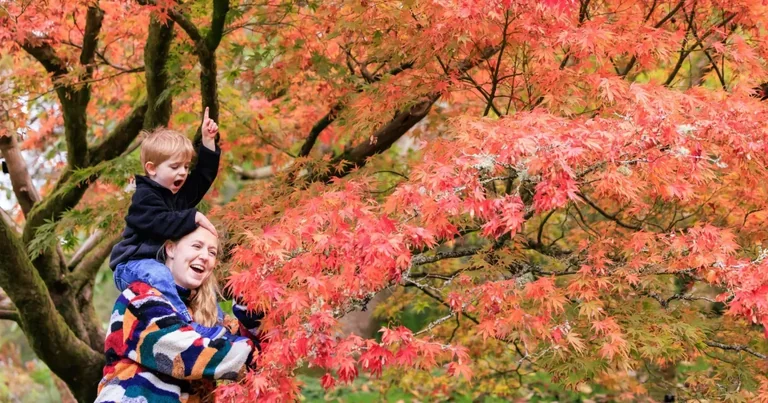 Autumn at Wakehurst: Your Guide to Fungi, Films and Lantern Trails