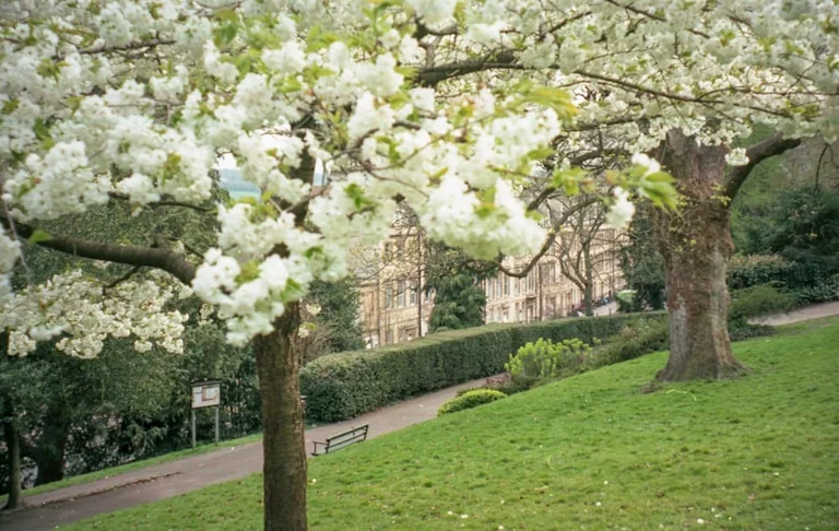 Bath’s green spaces earn a fresh reason to visit