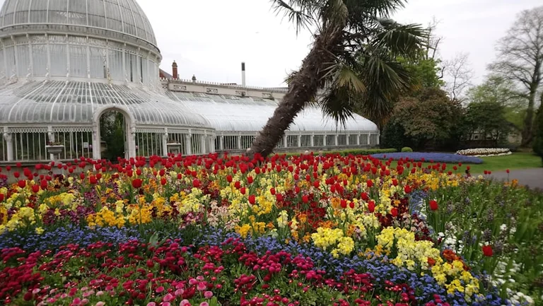 Belfast Autumn Fair: Free Weekend Festival Returns to Botanic Gardens