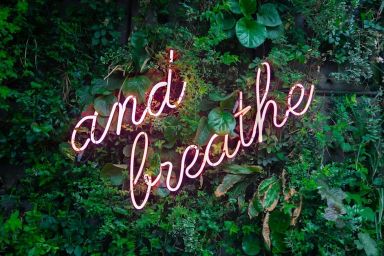 Finding Balance: Navigating Ambition and Rest on August 21