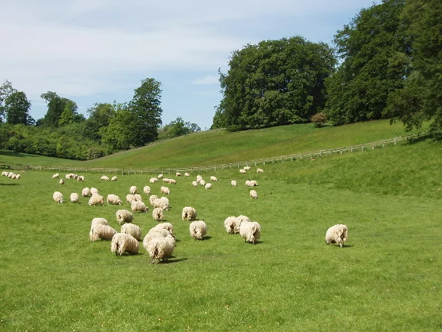 Blenheim Estate Park