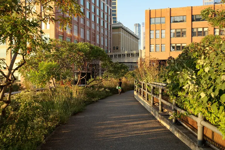 New York's High Line Park