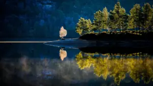 “Let Us Not Look Back in Anger”: A Sunday Reflection