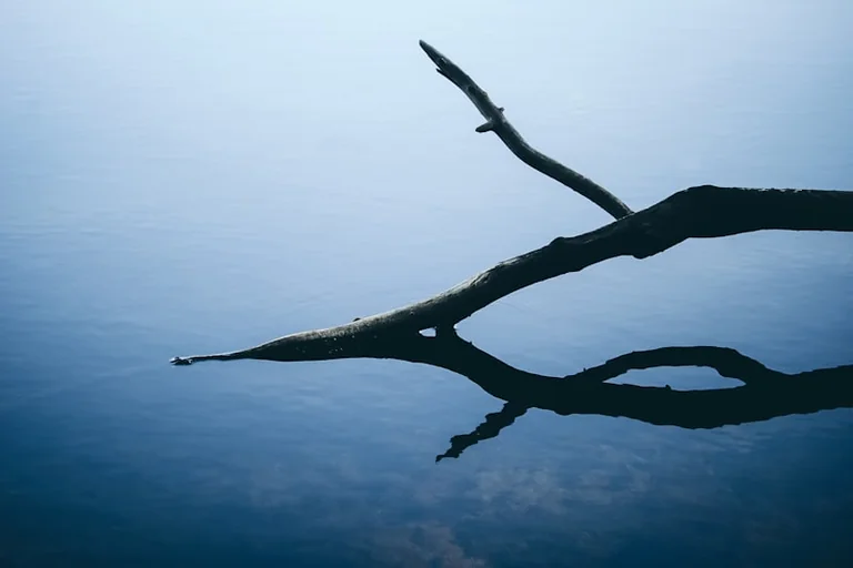 “Let Us Not Look Back in Anger”: A Sunday Reflection