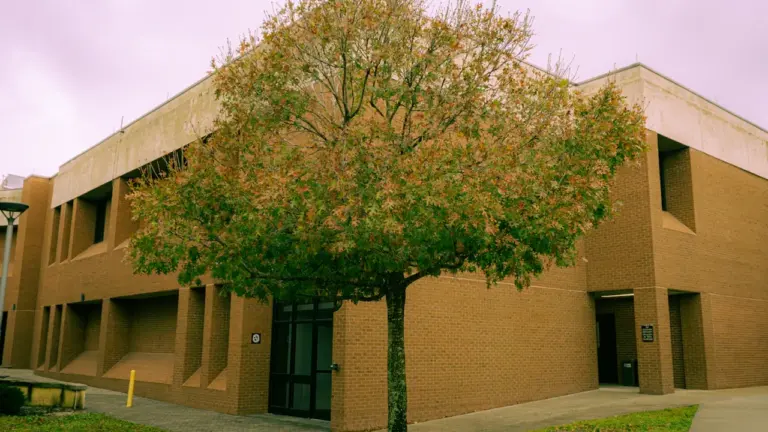 Let’s Talk Ellon opens free August 22 drop-in