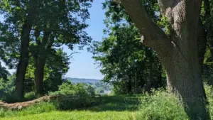 Oxfordshire residents urged to prepare for Thursday heat