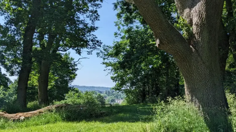 Oxfordshire residents urged to prepare for Thursday heat