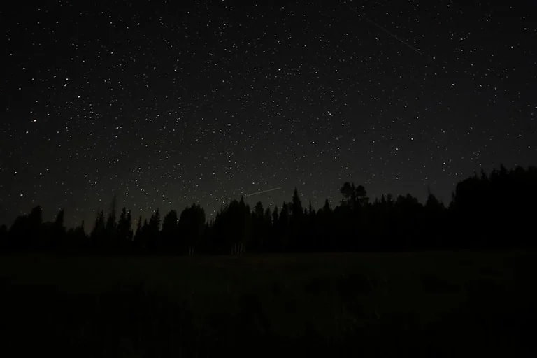 Perseid meteor shower tonight: safer UK viewing advice