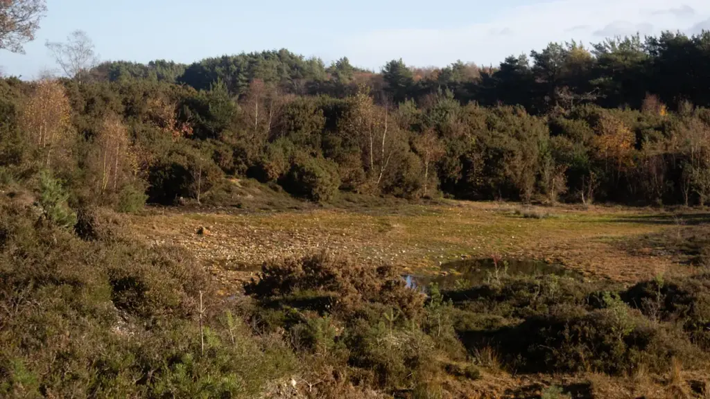 Redbridge reserve fly-tip puts firms on notice