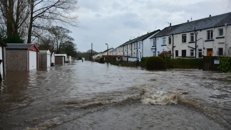 What a Flooded-House Dream May Say About Emotional Overload