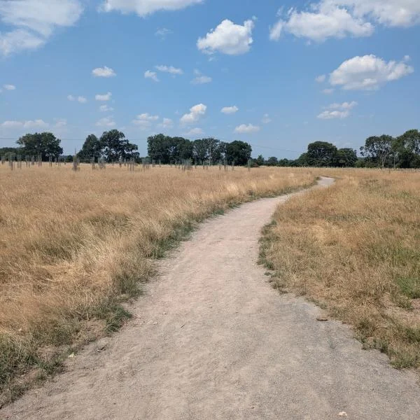 Wokingham Covid Memorial Woodland event: 27 August