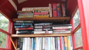 Bracknell Library Seeks Local Authors for November Book Fair: what residents need to know