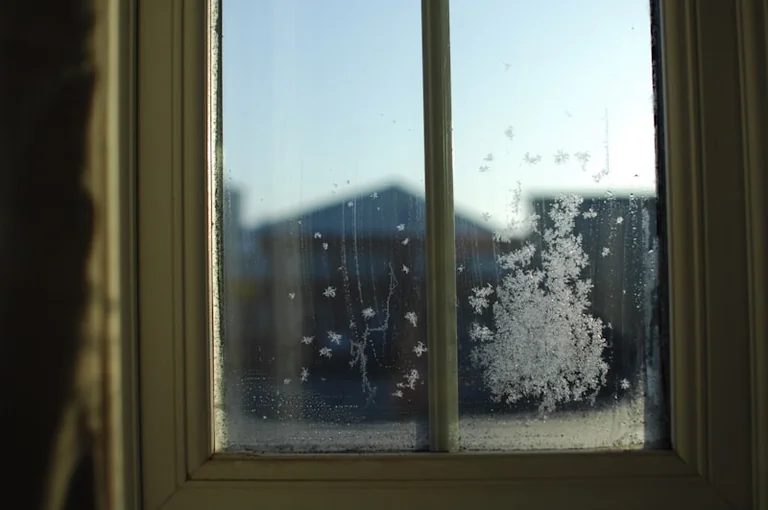 Condensation, Damp or a Leak? How to Read the Signs