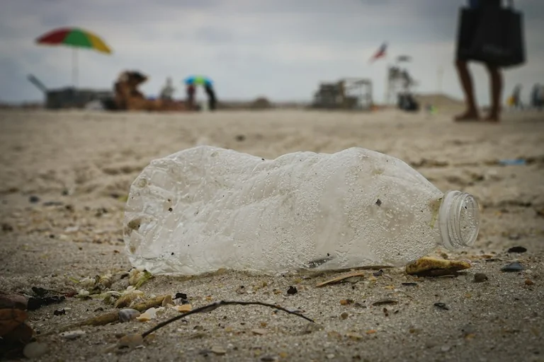 Great British Beach Clean: What Volunteers Should Bring