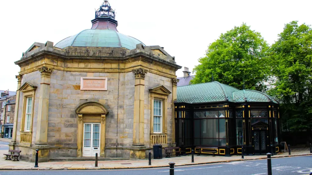 HDFT Annual Members’ Meeting: free in Harrogate