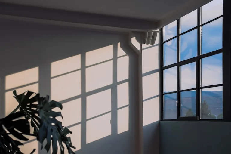 Use Morning Daylight to Reset Your Workweek Sleep Routine