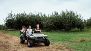 Warwickshire parents offered free driver webinar on 1 October