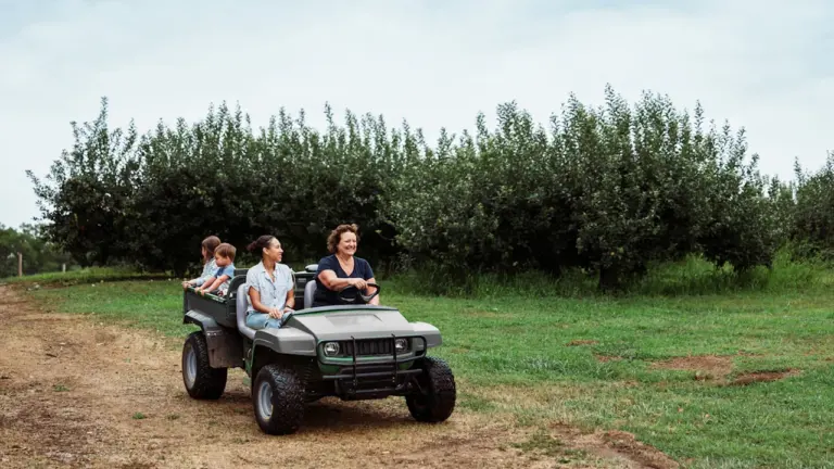 Warwickshire parents offered free driver webinar on 1 October