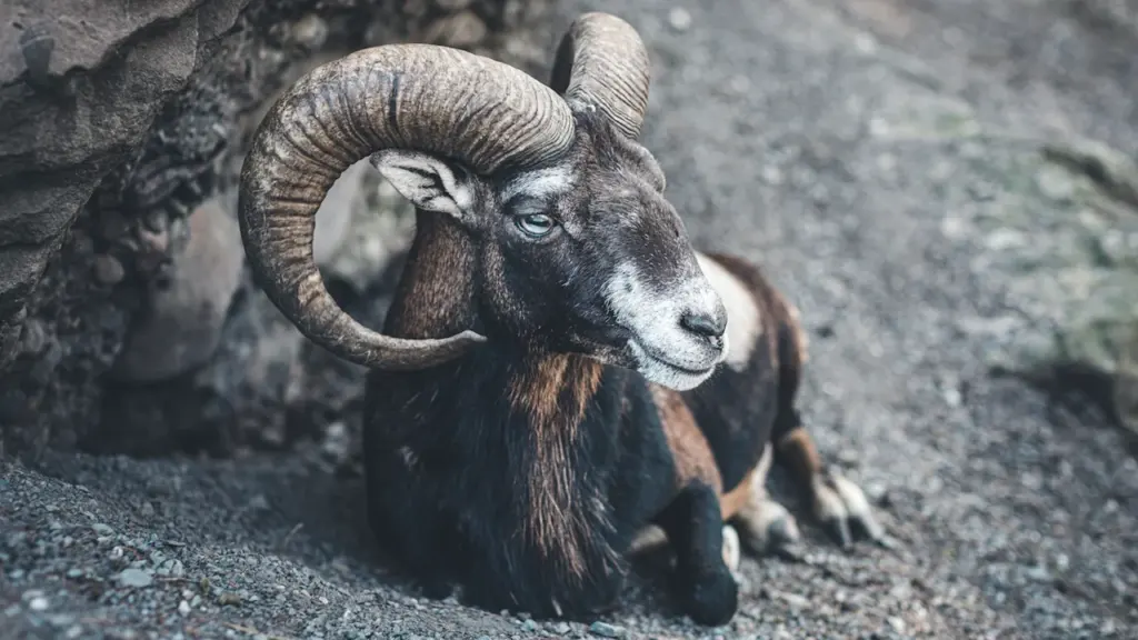 Aries Daily Horoscope for 10 October 2026