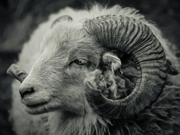 Aries Daily Horoscope for 28 October 2026: Take It Slowly