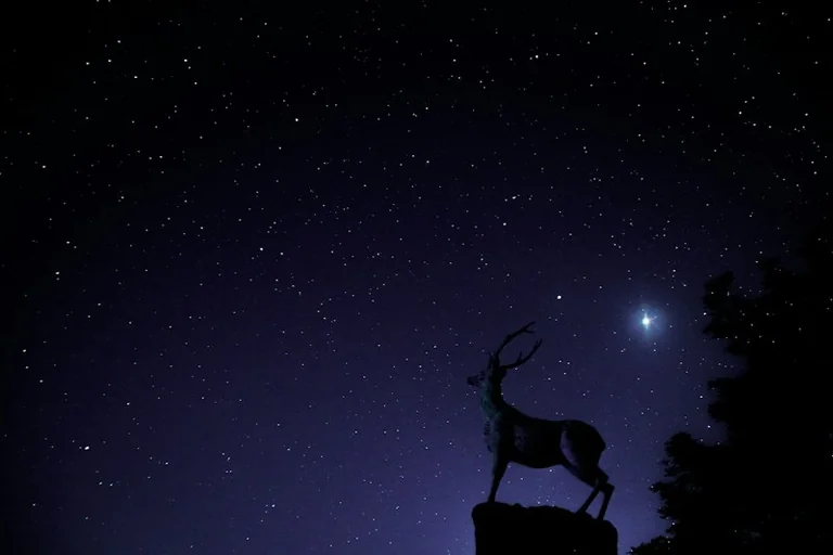 Aries Daily Horoscope for October 17: Make Room to Unwind