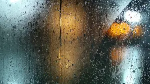 Condensation or a leak? First checks before paying for repairs
