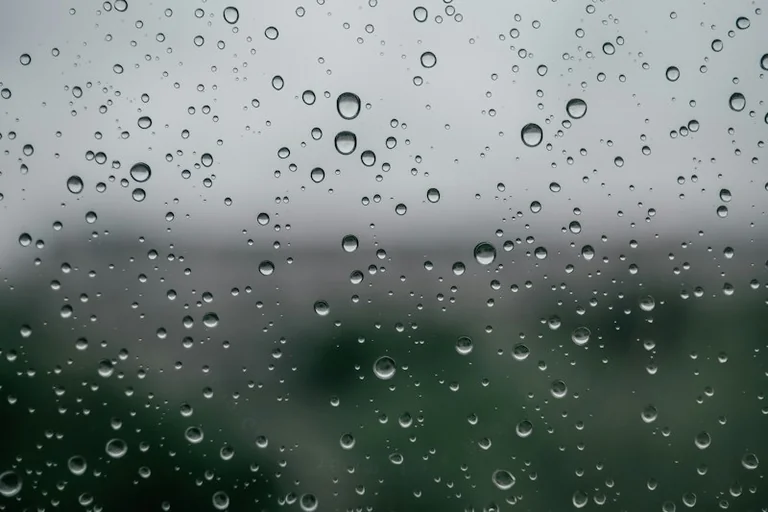 Condensation or a leak? First checks before paying for repairs