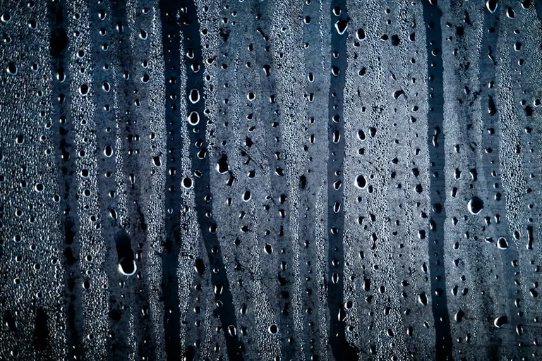 Condensation or a leak? First checks before paying for repairs