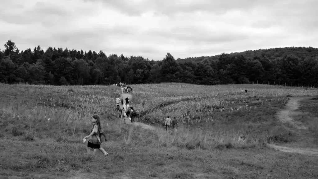 Dreams About Being Chased: Questions to Explore