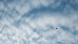 Flying Dreams: Freedom, Control and Personal Meaning