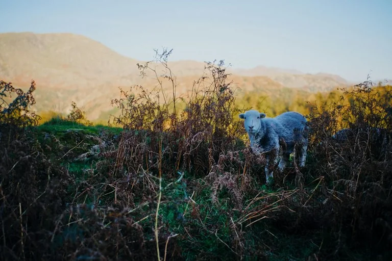 Plan a UK October Half-Term Trip Before Travel Peaks